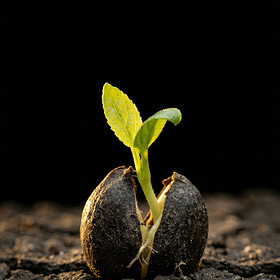 亂世求生(初稿校訂版)