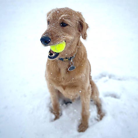 Images of Jordy through the last decade