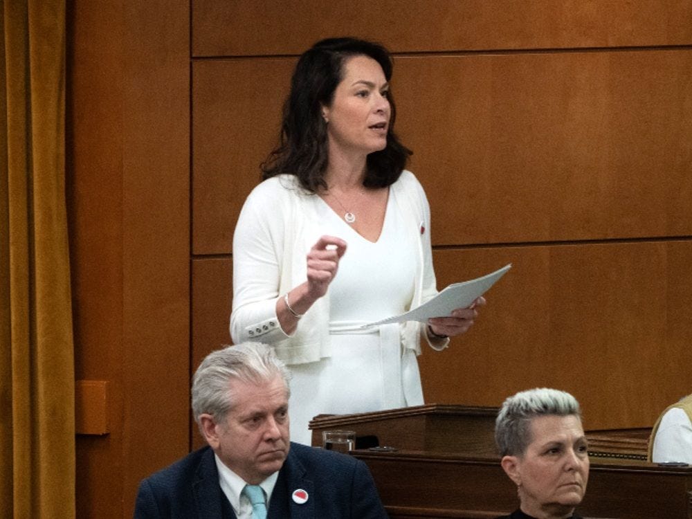 Jewish groups denounce passage of watered-down NDP Palestinian motion |  National Post