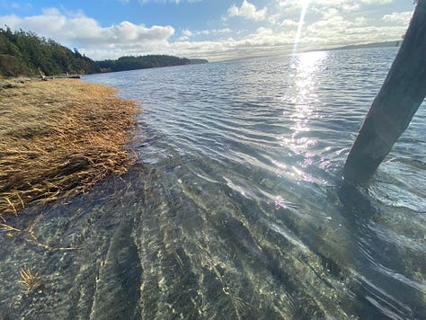 Indian Island County Park