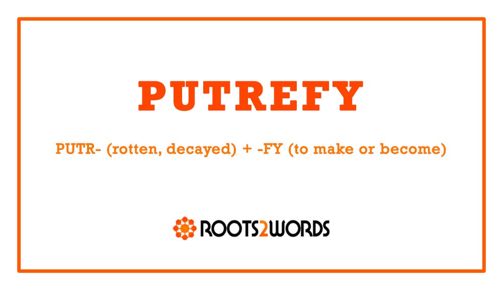 Word of the Day: PUTREFY - by Mike Bergin - Roots2Words