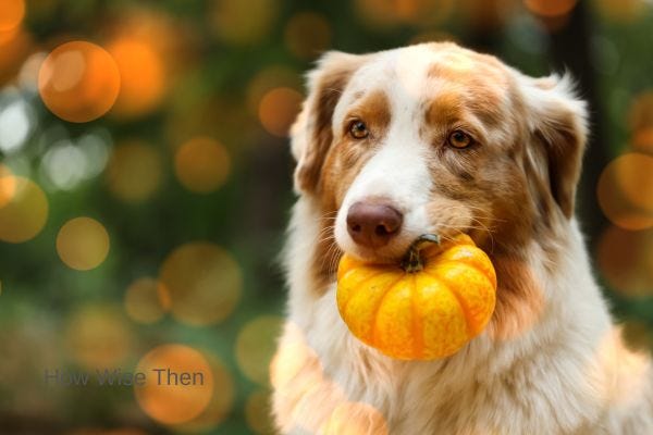 November Notes - Kathryn Haueisen's Substack