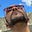 Juan Pujols's avatar