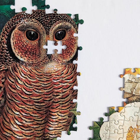 Paperblanks Moon Garden Jigsaw Puzzle