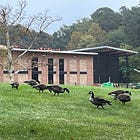 “Dried-In” Milestone Reached for Greater Williamsburg Sports and Events Center