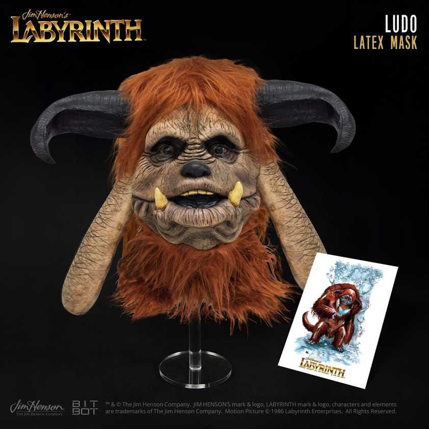 ludo-mask-front-w-card_black ludo-mask-front-w-card_black