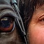 Diana Bayer's avatar