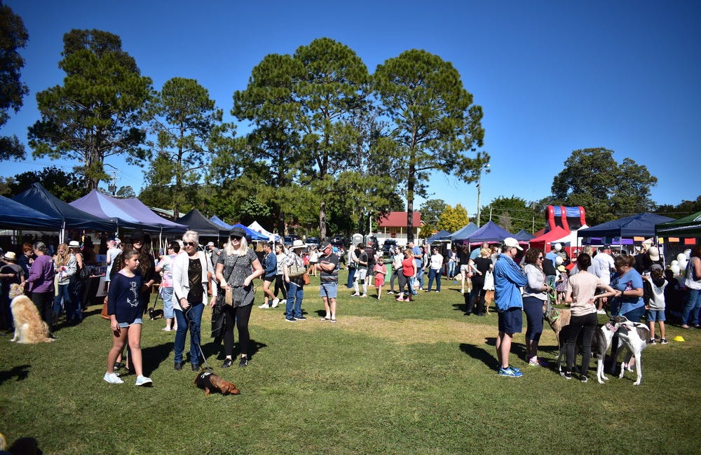 A day out with your four-legged best friend