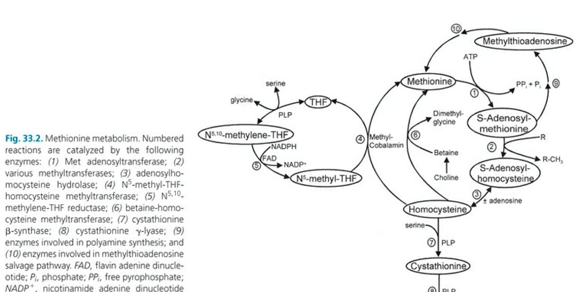 The Science Behind the Sulfur Protocol