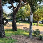 Problemas con el riego automático en parques y rotondas