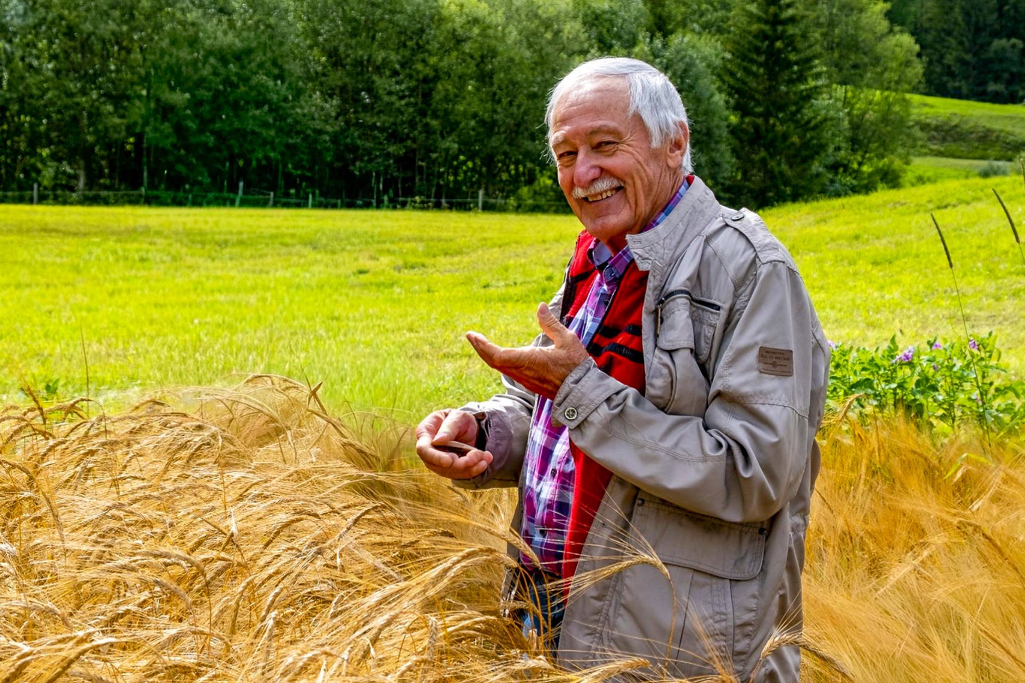 Der Phytopathologe Padruot Fried mit weissen Haaren und Schnurrbart steht lächelnd in einem Feld mit reifer, goldgelber Braugerste. Er trägt eine graue Jacke über einem rot-blau karierten Hemd und gestikuliert mit einer Hand. Im Hintergrund erstrecken sich eine grüne Wiese und ein dichter Waldrand. Der Phytopathologe Padruot Fried mit weissen Haaren und Schnurrbart steht lächelnd in einem Feld mit reifer, goldgelber Braugerste. Er trägt eine graue Jacke über einem rot-blau karierten Hemd und gestikuliert mit einer Hand. Im Hintergrund erstrecken sich eine grüne Wiese und ein dichter Waldrand.