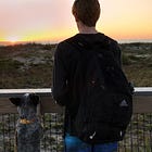 A hard-to-swallow truth: Not everyone loves dogs