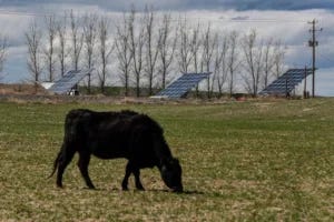 GettyImages-1701284727 solar panel