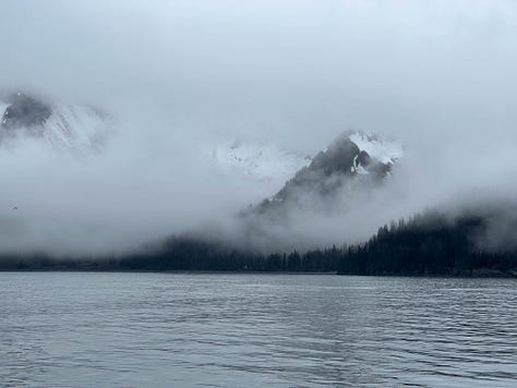 Six scenes from the Kenai Fjords tour with water, cliffs, whales, sea lions and birds.