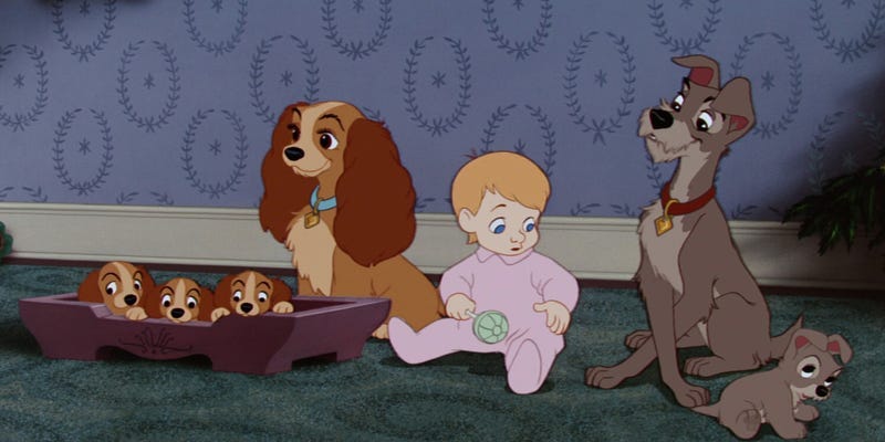 Lady and the Tramp' Differences Between Remake and Animated Movie -  Business Insider