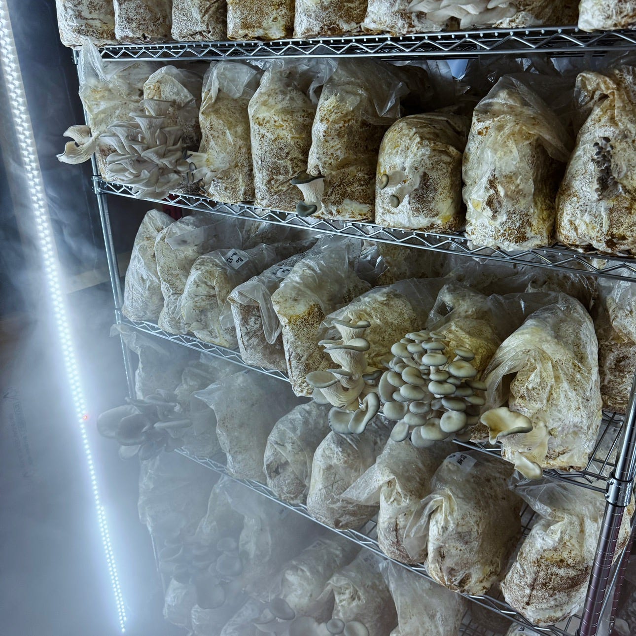 Artwork for Jonathan