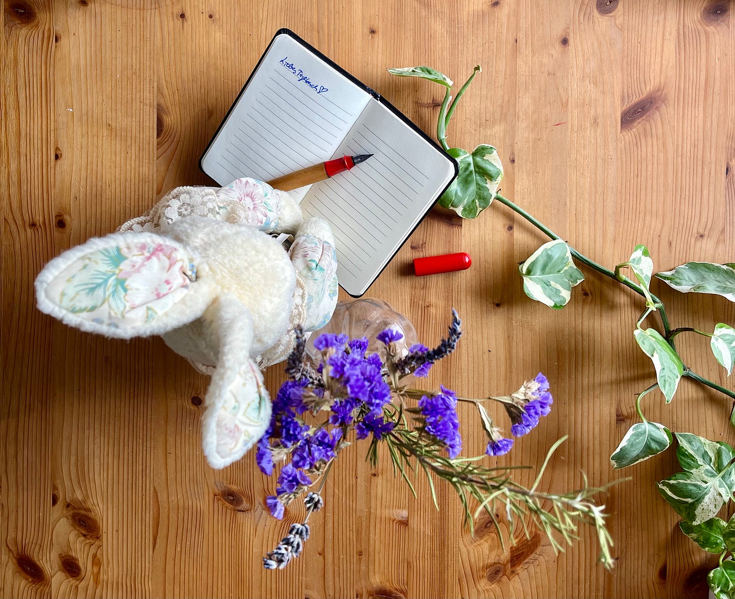 Ein Kuschelhase sitzt über einem Notizbuch, auf dessen linker Seite "Liebes Tagebuch <3" steht, darauf liegt ein Lamy-Schulfüller. Der Füllerdeckel liegt neben dem Tagebuch, außerdem sind ein Strauß Trockenblumen und Teile einer Zimmerpflanze von oben fotografiert vor dem Holzhintergrund zu sehen.