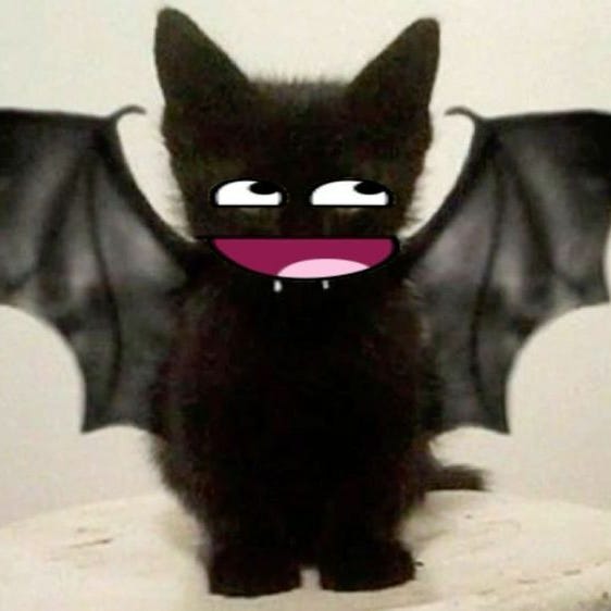 nayomii, uninterrupted