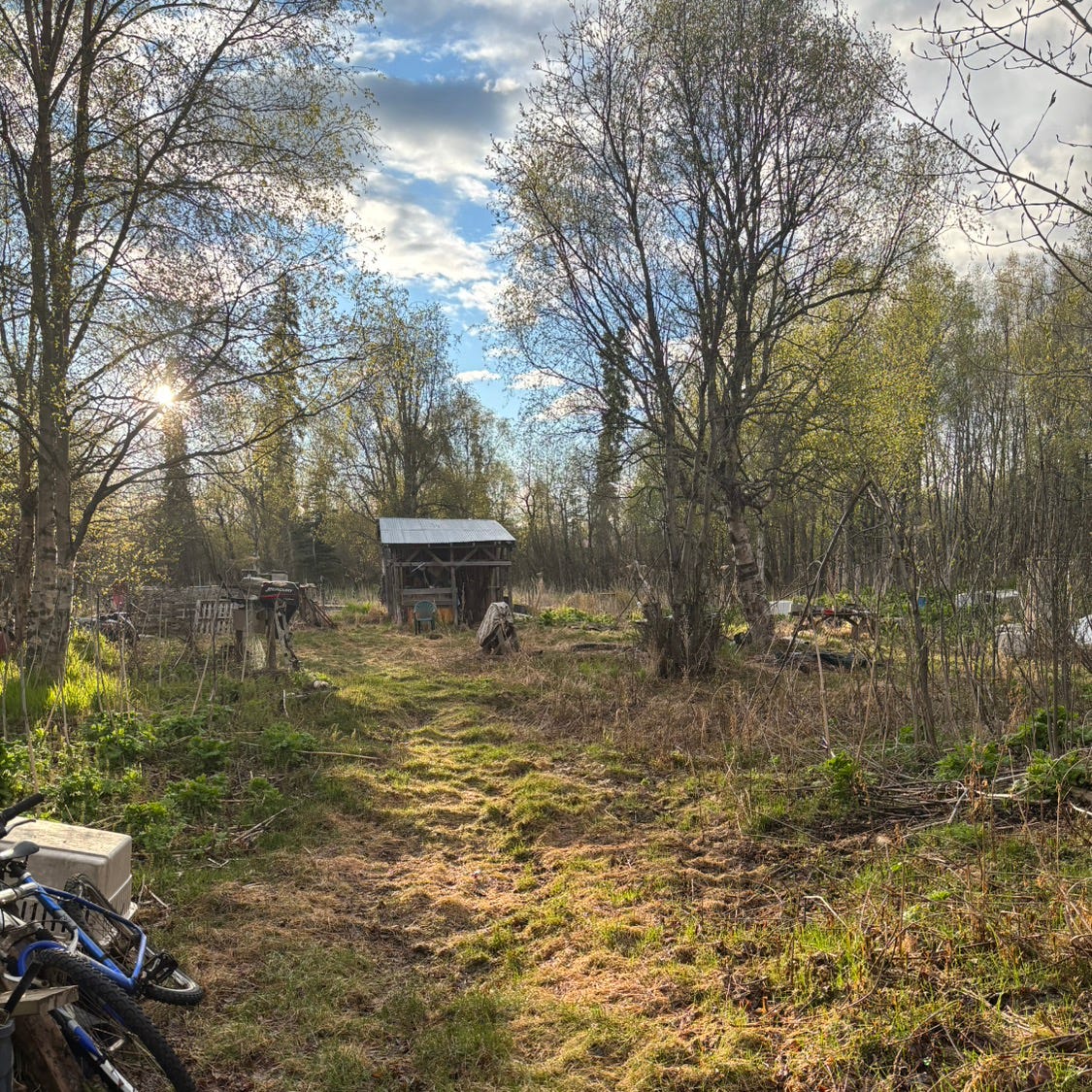 Artwork for Autistic Alaskan