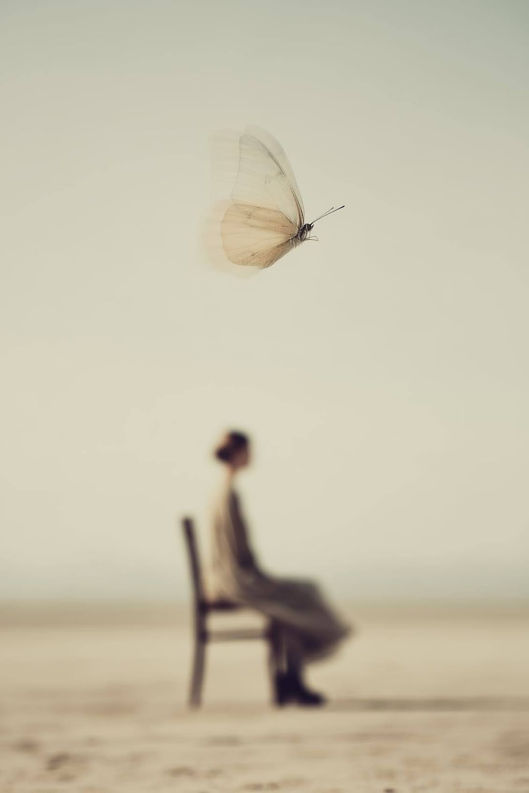 No photo description available. No photo description available.