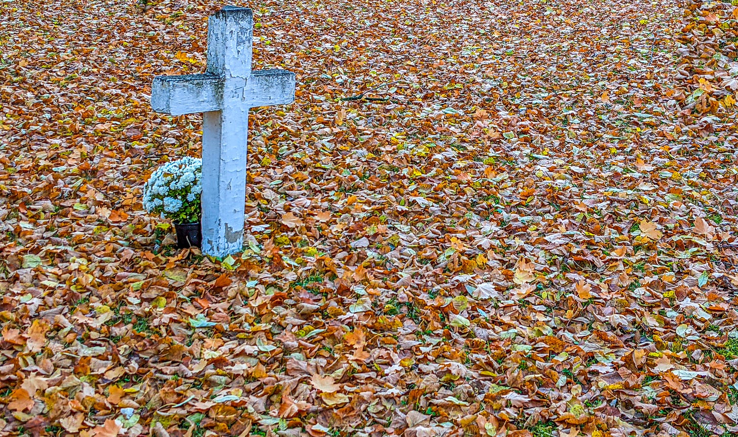 A worn white cross stands in a sea of fallen leaves. 