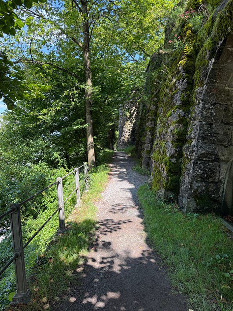 Rapperswil Deer Park