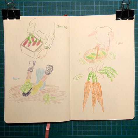Photos des cinq doubles-pages de mon sketchbook où j’ai dessiné des scènes de potager en animant la session live sur ma chaîne Youtube.