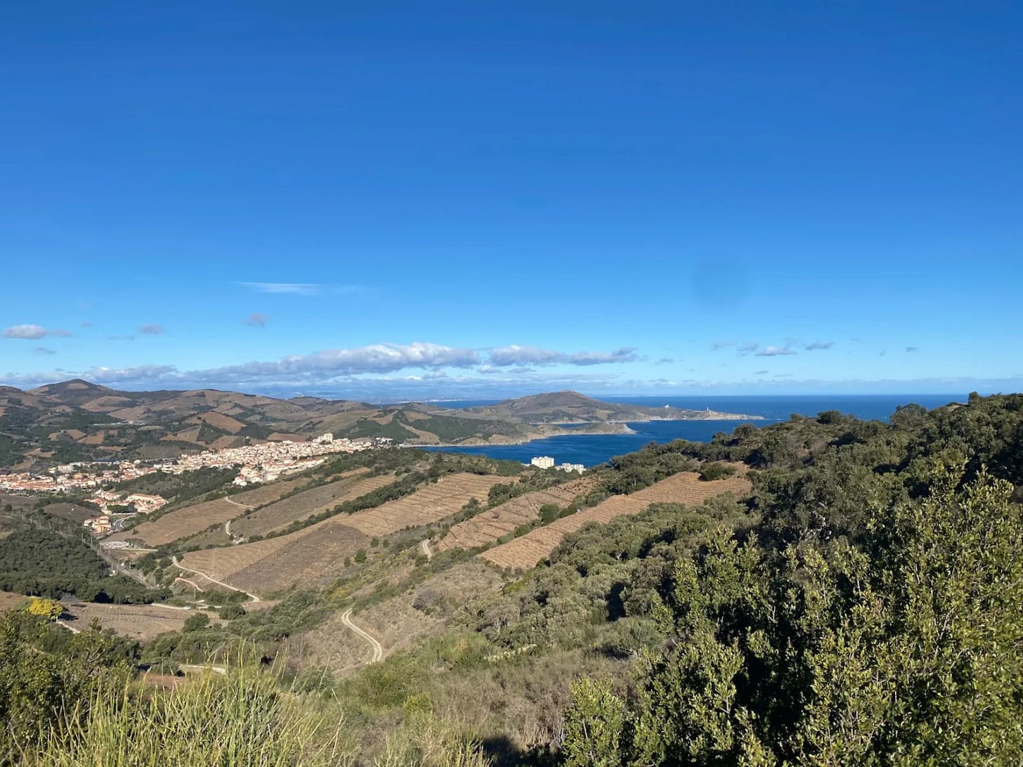 Banyuls Banyuls