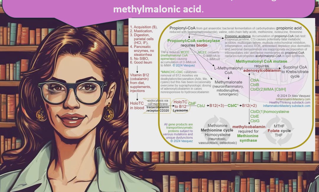 ClinNutrPharmacol (7) Everything you *really need to know* about vitamin B12 + the importance of testing METHYLMALONIC ACID