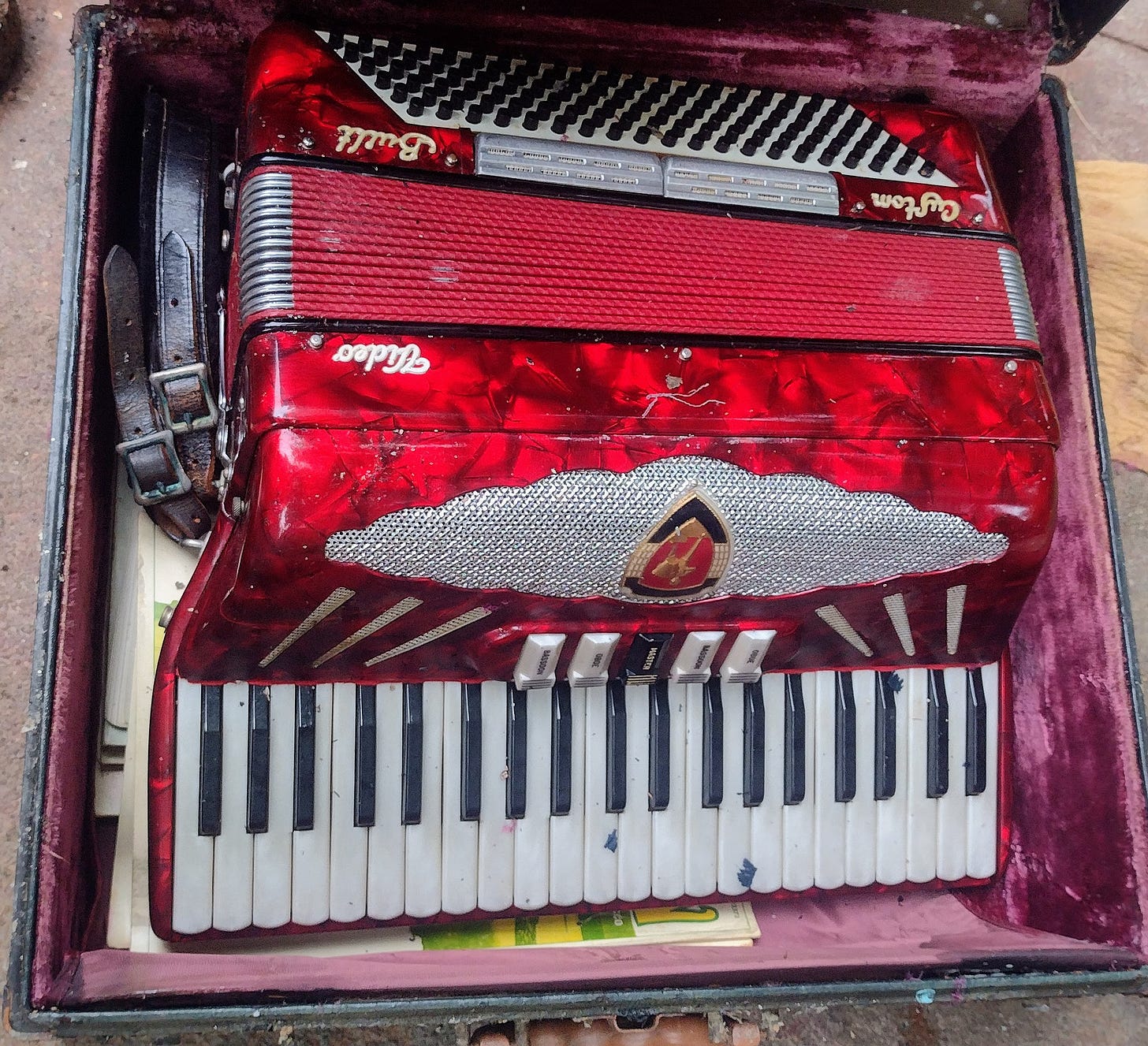 Accordion. Saved out of the fire