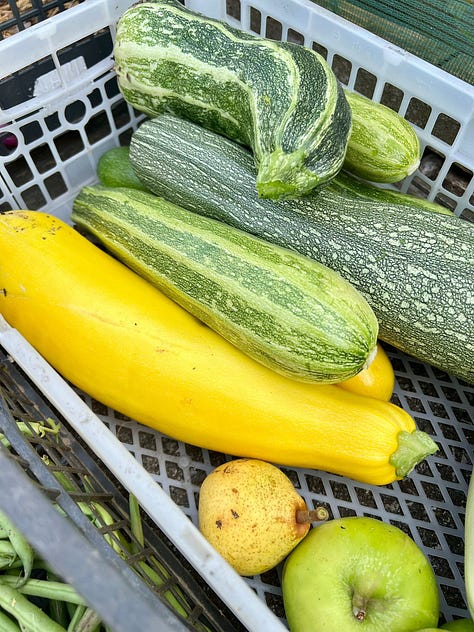 Leyton Boundary Garden harvests