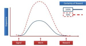 certainty motivation