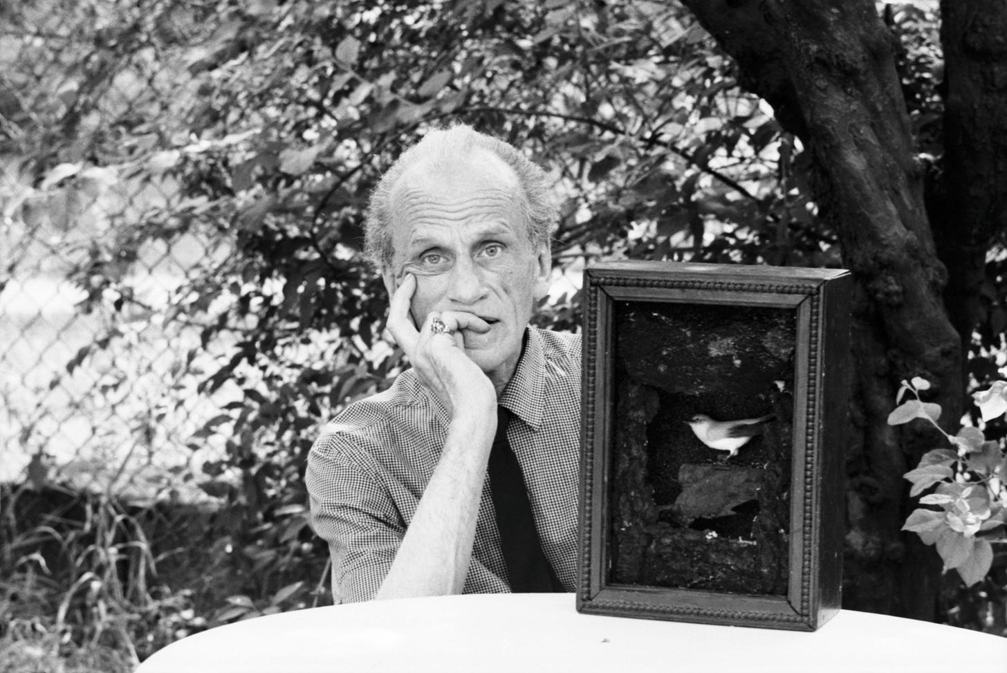Joseph Cornell | Art for Sale, Results & Biography | Sotheby's