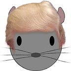 Chinchilla Squeaks