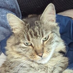 Beleth a Little Sleepy