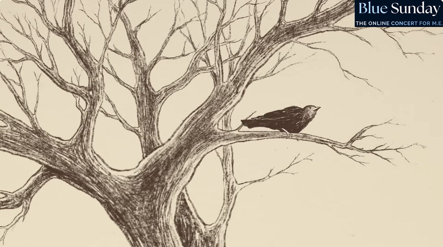 Image is of a pencil or graphite drawn tree on a beige background. There is a bird on a branch looking up and to the right. In the top right corner in Blue is the logo "Blue Sunday Online Concert For ME." It's a still from an animation.