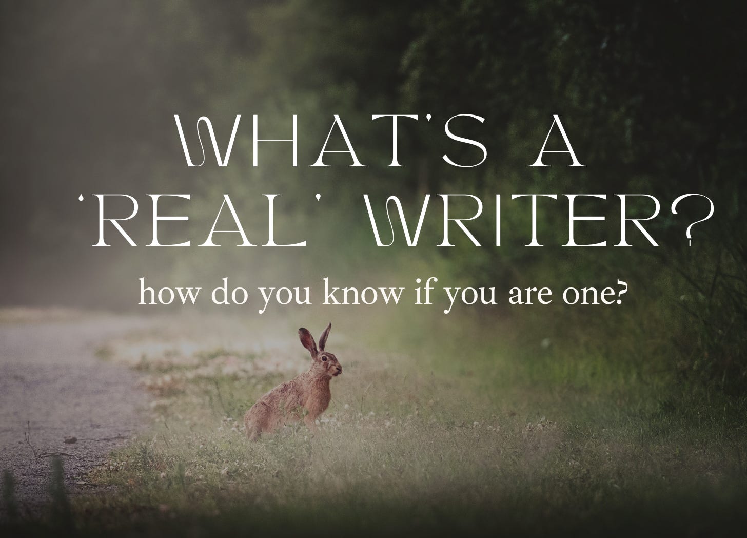 A brown rabbit sits beside a dirt road in the grass watching the camera. Text: What's a 'real' writer? How do you know if you are one?