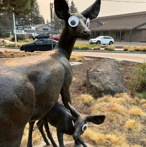 A set of googly eyes placed on a sculpture of deer.