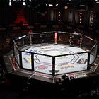 In The Shadow of the Cage shortlisted for prize 