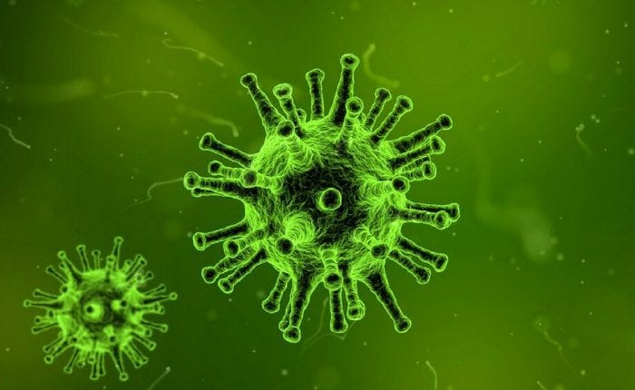 On the Origins of the 2019-nCoV Virus, Wuhan, China On the Origins of the 2019-nCoV Virus, Wuhan, China