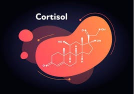 Cortisol: KS4 article | Discover Cortisol: KS4 article | Discover