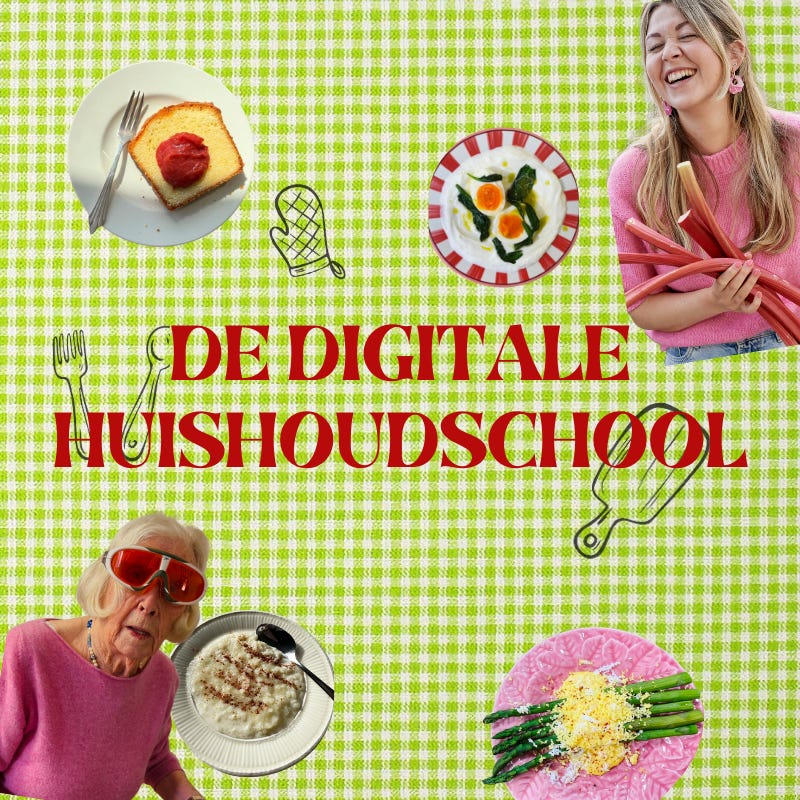 De Digitale Huishoudschool