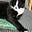 Erin & Erin The Cat.'s avatar