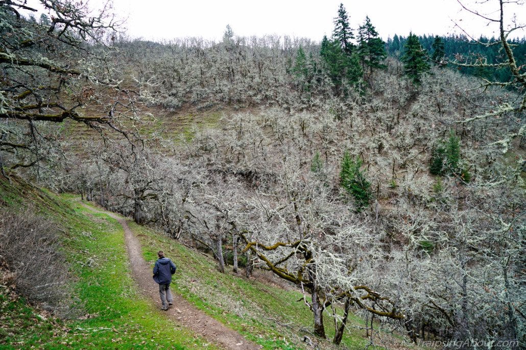Hiking in the Columbia River Gorge. Hiking in the Columbia River Gorge.
