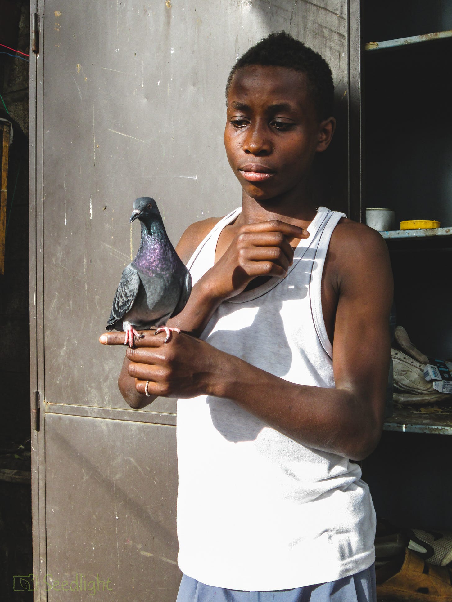 © Yohannes/Seedlight