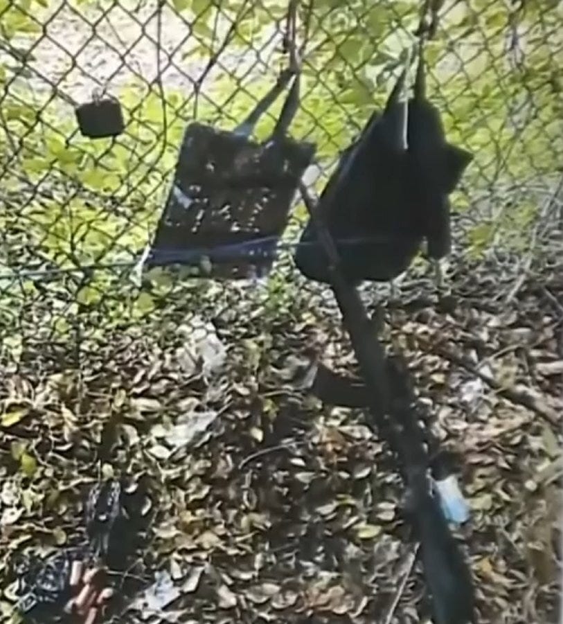 Trump shooter back back rifle Trump shooter back back rifle