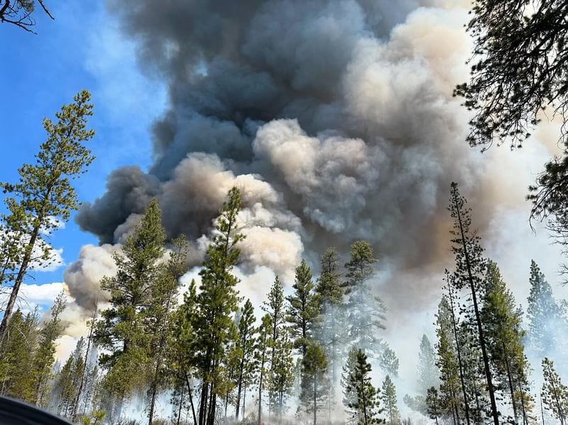 🔥🌲Wildfire News — Quick Updates from The Hotshot Wakeup.
