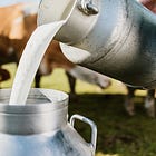 Raw Milk: Our Take On How Healthful It Is, Plus A Look At Quinoa