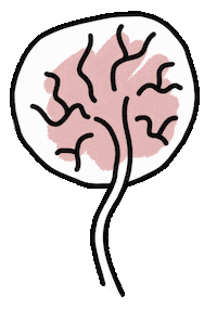Placentas Stickers - Find & Share on GIPHY