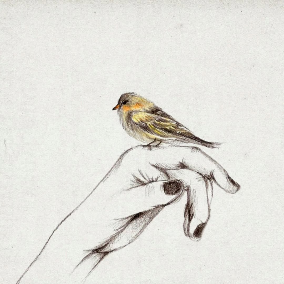 May be an illustration of bird May be an illustration of bird